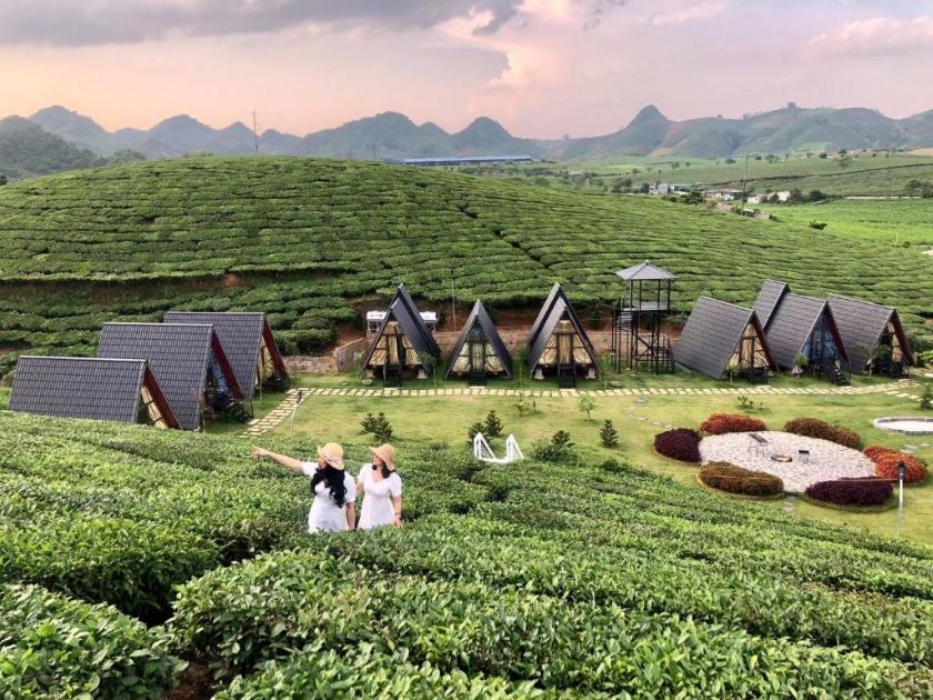 Homestay Thung Lũng Ba Đồi Chè.